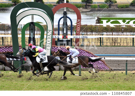 In front of Kyoto Racecourse Shiba Goal In front of Kyoto Racecourse Shiba Goal 110845807