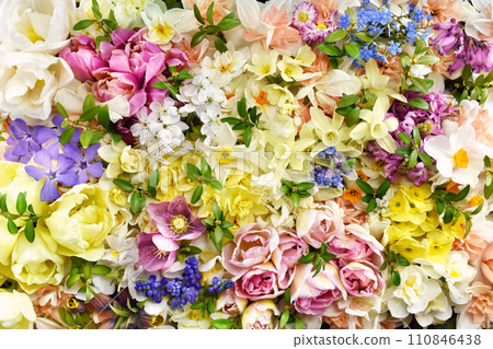 Blossoming white and light yellow daffodils, pink hyacinths and spring flowers festive background, bright springtime bouquet floral card, selective focus, shallow DOF 110846438