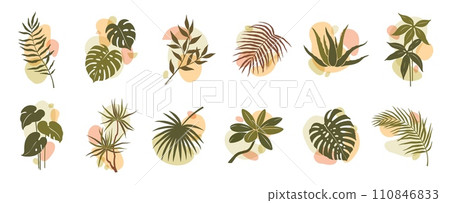 Abstract organic boho leaf and plant shapes. Isolated vector set of lush foliage, palm trees or monstera decorative elements, embracing a boho-chic aesthetic, evoke natural vibe in bohemian style Abstract organic boho leaf and plant shapes. Isolated vector set of lush foliage, palm trees or monstera decorative elements, embracing a boho-chic aesthetic, evoke natural vibe in bohemian style 110846833