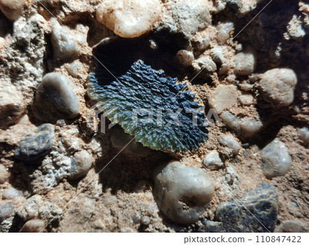 moldavite mineral isolated moldavite mineral isolated 110847422