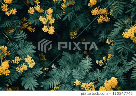 AI-generated content. a lush tree is adorned with a profusion of yellow mimosa 110847745