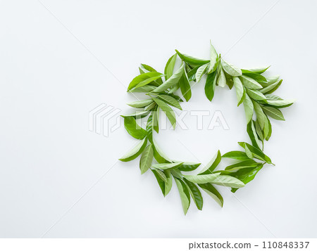 frame workspace with green leaves on white background. lay flat, top view frame workspace with green leaves on white background. lay flat, top view 110848337