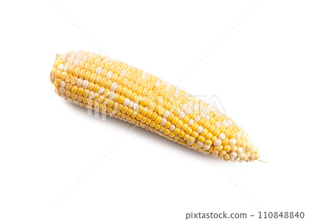 Sweet corn isolated on a white background.. Sweet corn isolated on a white background.. 110848840