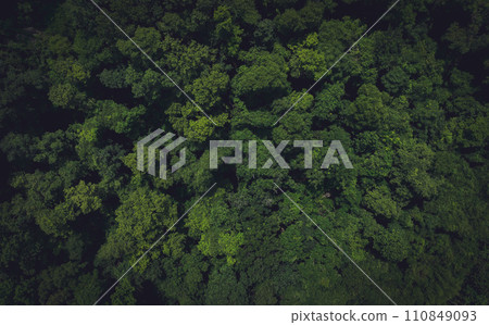 Aerial top view of green trees in forest. Drone view of dense green tree captures CO2. Green tree nature background for carbon neutrality and net zero emissions concept. Sustainable green environment. 110849093