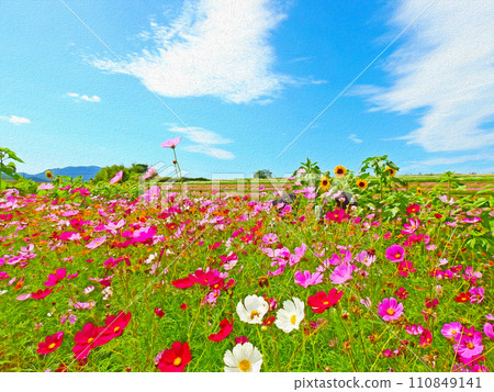 大分縣中津市參考波斯菊花園裡色彩繽紛的花朵和向日葵 110849141