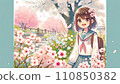 Cherry blossoms bloom! school uniform and girl 110850382