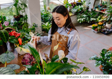 Asian young woman spraying fern, fertilizing plants indoors. Open new floral business. Startup concept. 110850400