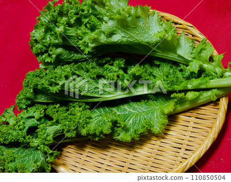 Fresh vegetables cruciferous wasabi greens Fresh vegetables cruciferous wasabi greens 110850504