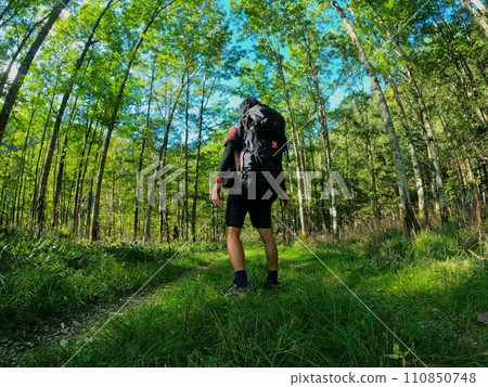 Climber standing on the forest trail to Petegari Mountain Villa Climber standing on the forest trail to Petegari Mountain Villa 110850748
