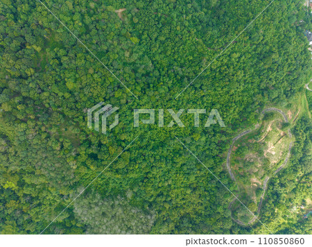 Aerial view Drone camera top view rainforest trees ecology with healthy environment concept and summer background 110850860