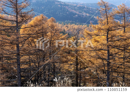 Autumn scenery seen from Hyuga-Kiba Observation Deck in Yatsugatake, Nagano Prefecture Autumn scenery seen from Hyuga-Kiba Observation Deck in Yatsugatake, Nagano Prefecture 110851159