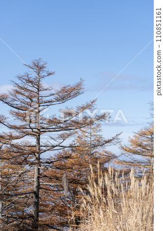 Autumn scenery seen from Hyuga-Kiba Observation Deck in Yatsugatake, Nagano Prefecture Autumn scenery seen from Hyuga-Kiba Observation Deck in Yatsugatake, Nagano Prefecture 110851161