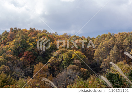 從八岳眺望秋葉山脈 110851191