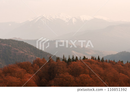 Picturesque landscape with orange autumn forest Picturesque landscape with orange autumn forest 110851392