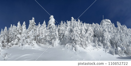Mont Tremblant snowy frozen forest at summit 110852722
