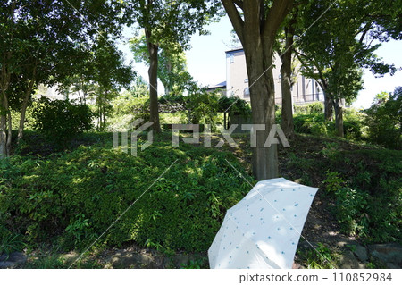 Take a break in the shade of the park 110852984