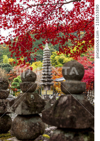detail of the Adashino Nenbutsuji temple 110853890