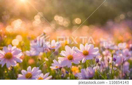 Sunny spring field: Vibrant flowers under the sun Sunny spring field: Vibrant flowers under the sun 110854143
