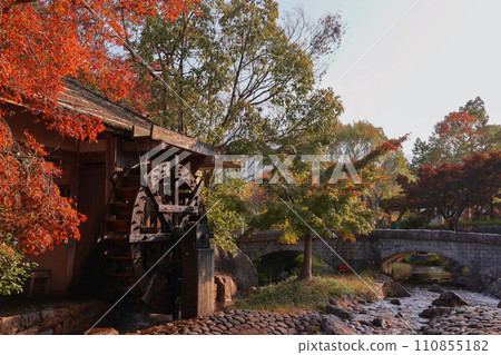 秋野秋葉和水車 秋野秋葉和水車 110855182