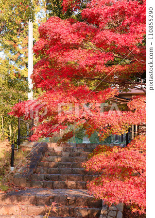 Autumn leaves and stairs Autumn leaves and stairs 110855290