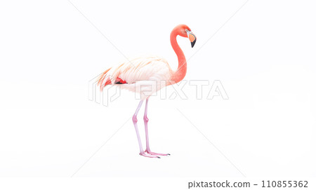 Flamingo  110855362