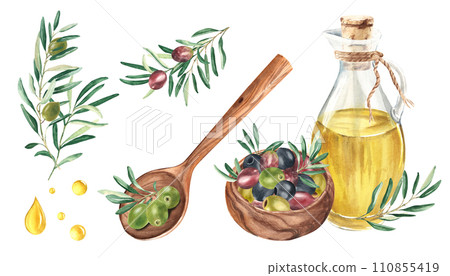 Olive set. Branches, glass jug with olive oil, olives in wooden bowl, wooden spoon and oil drops isolated on white background. Hand drawn botanical watercolor illustration. For cards, menu, product Olive set. Branches, glass jug with olive oil, olives in wooden bowl, wooden spoon and oil drops isolated on white background. Hand drawn botanical watercolor illustration. For cards, menu, product 110855419