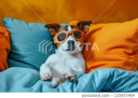 Cute puppy sleeping in bed and wearing orange sleeping mask 110855464