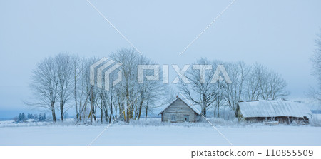 Cold winter background with frost covered forest with house 110855509