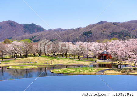 國立陸奧森湖畔公園（宮城縣川崎町） 110855982