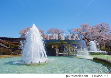 國立陸奧森湖畔公園（宮城縣川崎町） 110855983