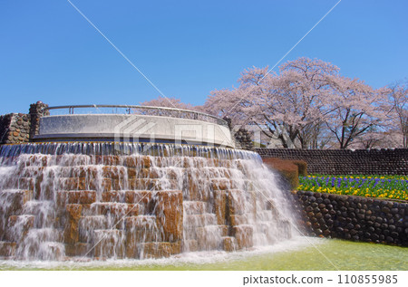 National Michinoku Mori Lakeside Park (Kawasaki Town, Miyagi Prefecture) National Michinoku Mori Lakeside Park (Kawasaki Town, Miyagi Prefecture) 110855985