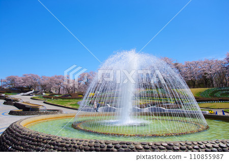 National Michinoku Mori Lakeside Park (Kawasaki Town, Miyagi Prefecture) National Michinoku Mori Lakeside Park (Kawasaki Town, Miyagi Prefecture) 110855987