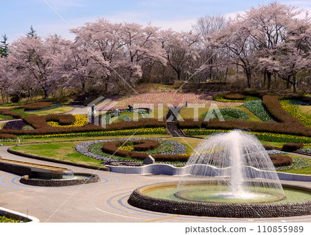 國立陸奧森湖畔公園(宮城縣川崎町) 國立陸奧森湖畔公園(宮城縣川崎町) 110855989