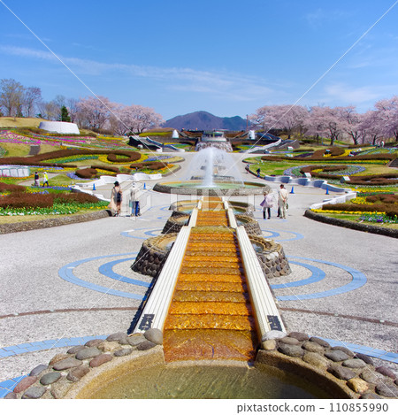 National Michinoku Mori Lakeside Park (Kawasaki Town, Miyagi Prefecture) 110855990