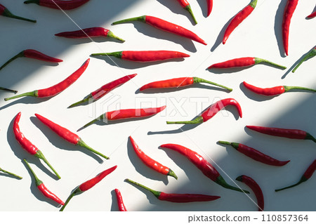 Red hot chili peppers seamless pattern on white background Red hot chili peppers seamless pattern on white background 110857364