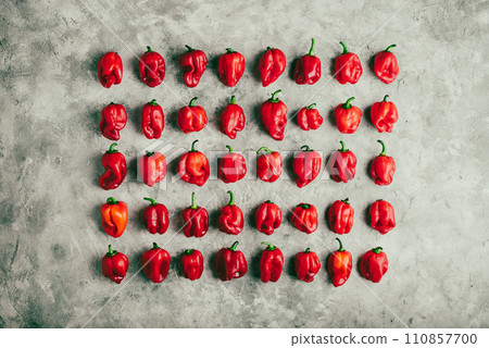 Rows of Red Habanero Peppers on Gray Concrete Surface 110857700