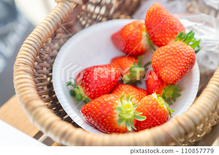 草莓採摘，草莓採摘，草莓採摘，水果採摘，水果採摘 110857779