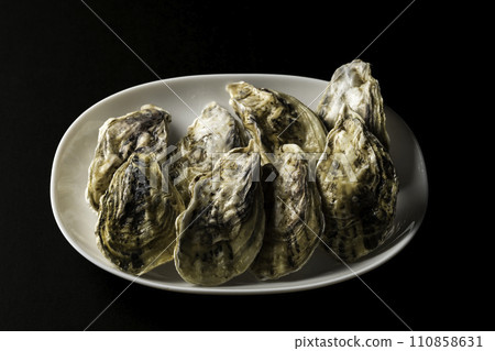 Lively oysters on a plate Lively oysters on a plate 110858631