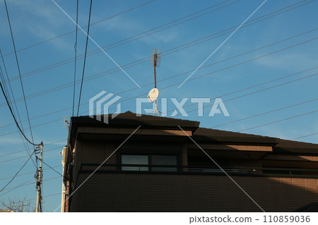 Walked in the neighborhood 110859036