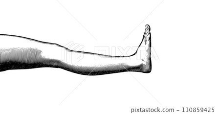 Black and white engraving human leg and foot vector illustration 110859425
