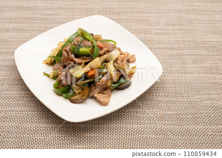 自製肉類和蔬菜炒菜 自製肉類和蔬菜炒菜 110859434