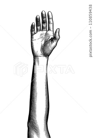 Black engraving human neutral hand up illustration on white BG 110859438