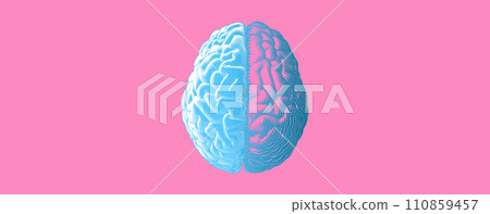Stylized hemispheres brain drawing illustration with blue and pink color tone Stylized hemispheres brain drawing illustration with blue and pink color tone 110859457