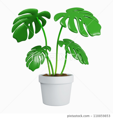 3d monstera in plant pot. Tropical plant for interior decor of home. icon isolated on white background. 3d rendering illustration. Clipping path. 110859853