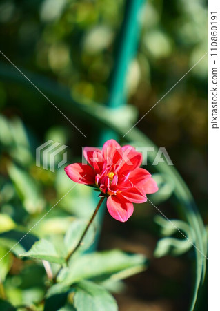 第6097章 110860191