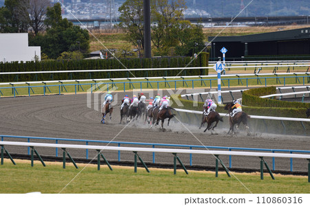 京都賽馬場泥土角1及引導馬匹 京都賽馬場泥土角1及引導馬匹 110860316