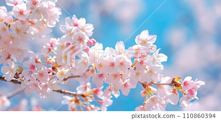 2:1櫻花花瓣背景素材01 2:1櫻花花瓣背景素材01 110860394