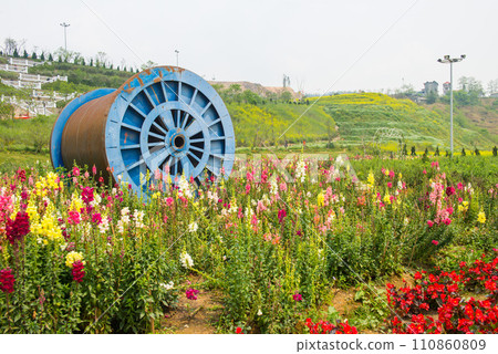 The flowers garden on Muong Hoa mountain in Sa Pa the capital city in Lao Cai province in north-west of Vietnam. The flowers garden on Muong Hoa mountain in Sa Pa the capital city in Lao Cai province in north-west of Vietnam. 110860809