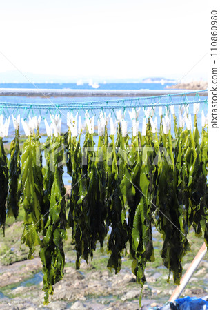 春天的綠色 110860980