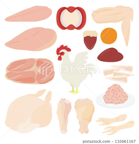 Illustration of chicken 110861167